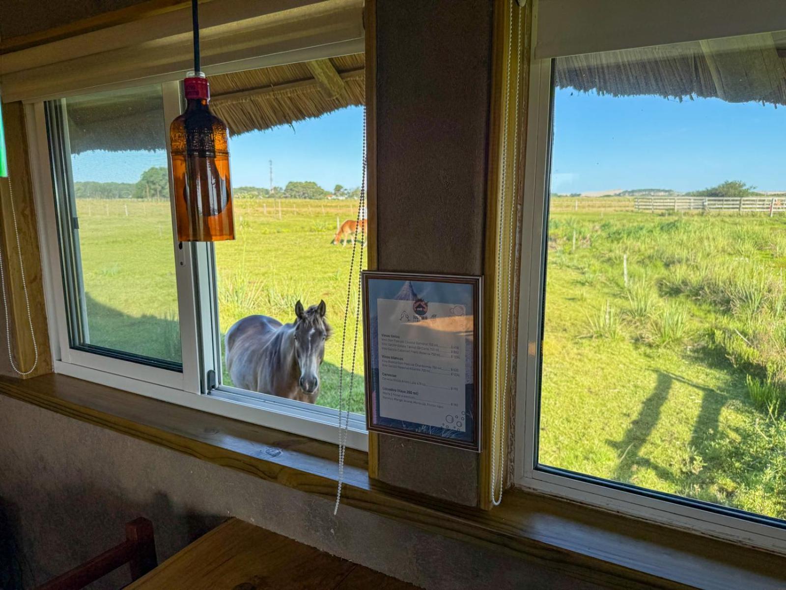 ברה דה וליסס Los Chaja Ecolodge מראה חיצוני תמונה