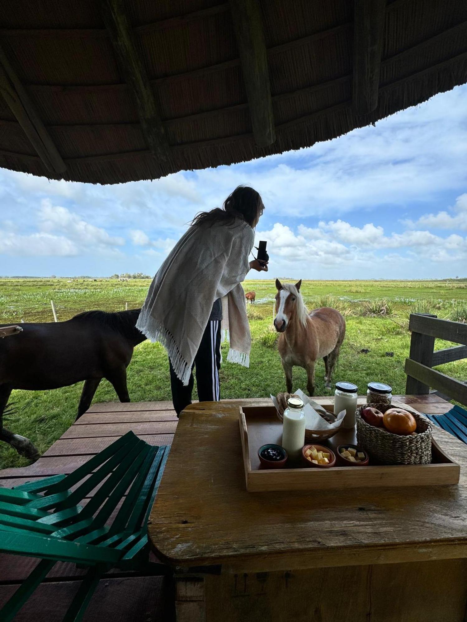 ברה דה וליסס Los Chaja Ecolodge מראה חיצוני תמונה